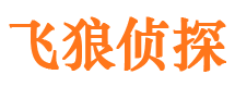 蓬安寻人公司